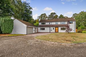 Photo 1- click for photo gallery